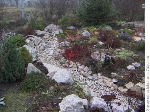 Растения для сухого ручья. Сухой ручей