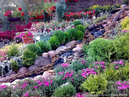 Ручей из цветов в саду. 02