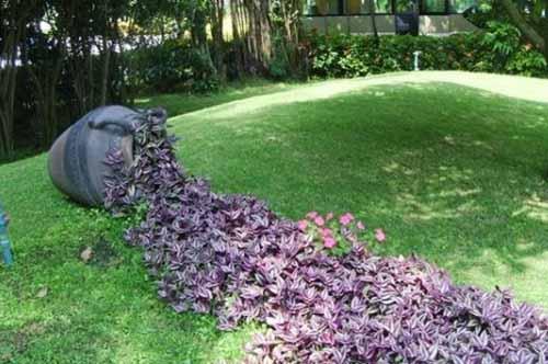 Ручеек из цветов. 10 секретов дизайна клумбы «Цветочный ручей».