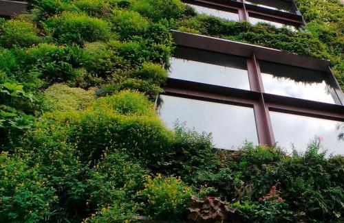 Вертикальная клумба для цветов. Вертикальные клумбы — создание каскадных цветников своими руками, фото