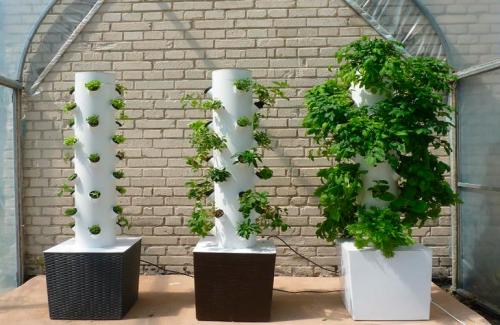 Вертикальная клумба для цветов. Вертикальные клумбы — создание каскадных цветников своими руками, фото