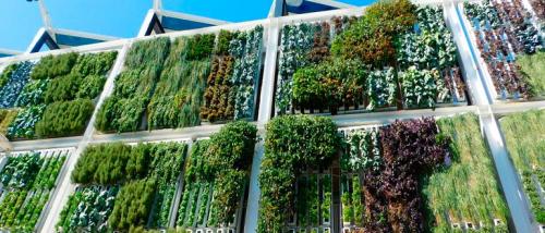 Вертикальная клумба для цветов. Вертикальные клумбы — создание каскадных цветников своими руками, фото