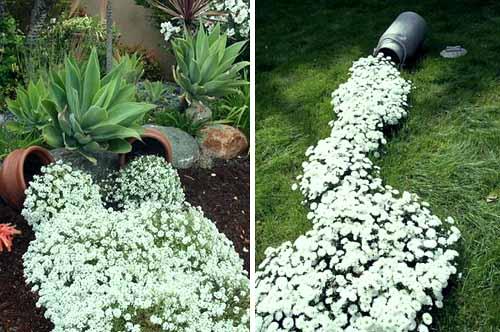 Ручеек из цветов. 10 секретов дизайна клумбы «Цветочный ручей».