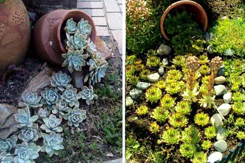 Ручеек из цветов. 10 секретов дизайна клумбы «Цветочный ручей».