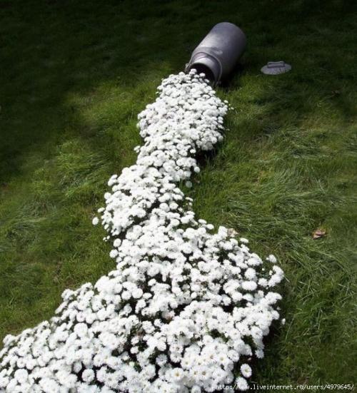 Ручей из цветов в саду. 03