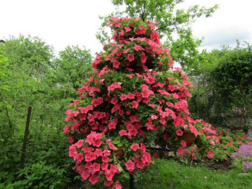 Вертикальная клумба для петунии своими руками. Как сделать своими руками из сетки? 07 Вертикальная клумба для петунии своими руками. Как сделать своими руками из сетки? 07