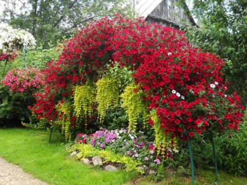 Вертикальная клумба для петунии своими руками. Как сделать своими руками из сетки? 05 Вертикальная клумба для петунии своими руками. Как сделать своими руками из сетки? 05