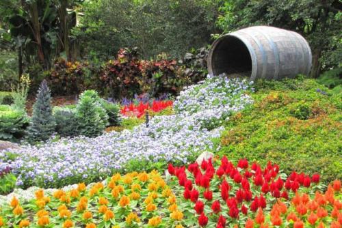 Как сделать водопад из цветов. Какие цветники называют «ручьями»?