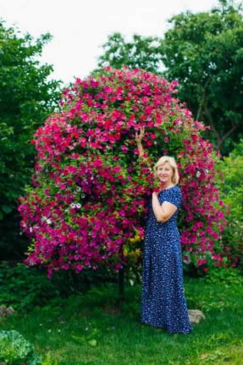 Вертикальная клумба для петунии своими руками. Как сделать своими руками из сетки? 03 Вертикальная клумба для петунии своими руками. Как сделать своими руками из сетки? 03