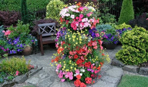 Петунии в дизайне сада. Круглые клумбы и бордюры с использованием петуний