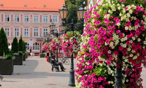 Как делать каскадные клумбы. Советы по оформлению 16