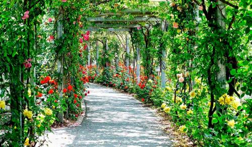 Вертикальная клумба из пластиковых ящиков. Вертикальные клумбы — создание каскадных цветников своими руками, фото