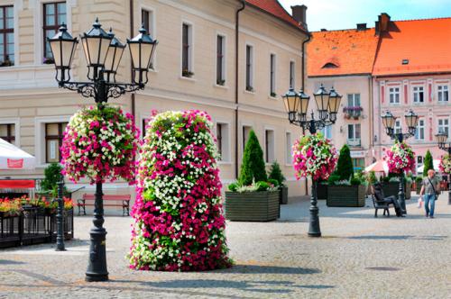 Как делать каскадные клумбы. Советы по оформлению 17