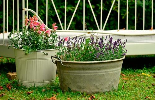 Вертикальная клумба из пластиковых ящиков. Вертикальные клумбы — создание каскадных цветников своими руками, фото