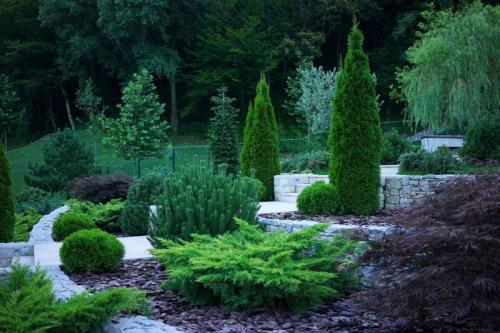 Что посадить на южной стороне участка. Богатый цветник в палисаднике: растения для четырех сторон света