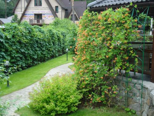 Что посадить на южной стороне участка. Богатый цветник в палисаднике: растения для четырех сторон света