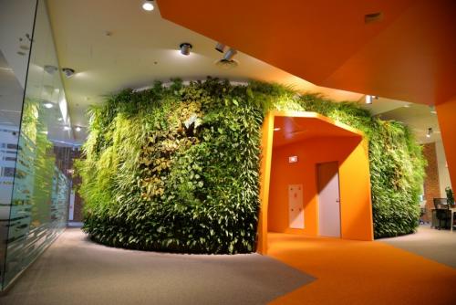 Растения для вертикального озеленения фасадов. Вертикальное озеленение —, какие растения и цветы подобрать для оформления участка своими руками (115 фото)