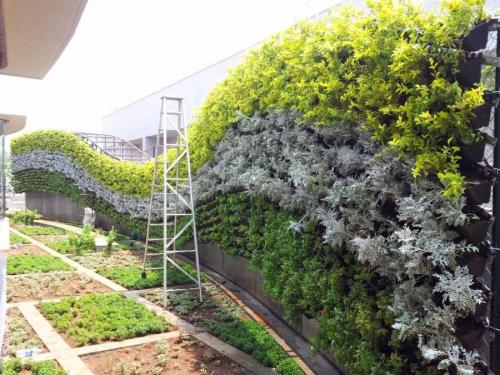 Растения для вертикального озеленения фасадов. Вертикальное озеленение —, какие растения и цветы подобрать для оформления участка своими руками (115 фото)