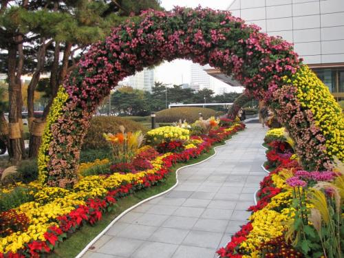 Растения для вертикального озеленения фасадов. Вертикальное озеленение —, какие растения и цветы подобрать для оформления участка своими руками (115 фото)