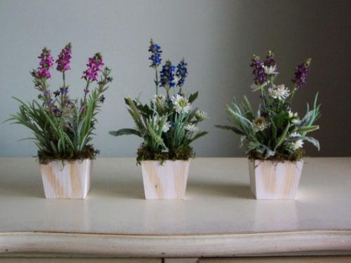 Вьющиеся комнатные растения приметы. Какие цветы нельзя держать дома: фото и приметы