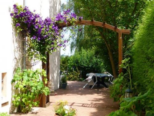 Многолетние лианы для забора. Общие рекомендации желающим украсить забор, строения, участок.