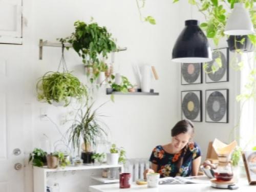 Рейтинг лучших и неприхотливых комнатных растений. Самые популярные комнатные цветы 03 Рейтинг лучших и неприхотливых комнатных растений. Самые популярные комнатные цветы 03