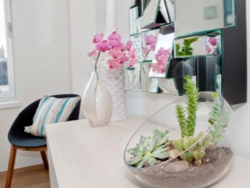 Рейтинг лучших и неприхотливых комнатных растений. Самые популярные комнатные цветы 02 Рейтинг лучших и неприхотливых комнатных растений. Самые популярные комнатные цветы 02