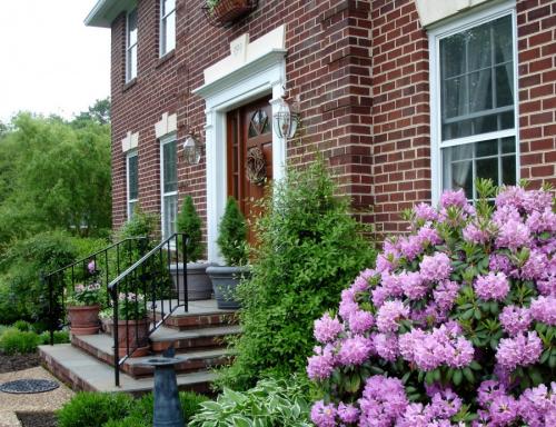 Декоративные растения для сада. Декоративные растения — лучшие и самые популярные растения для сада (115 фото)