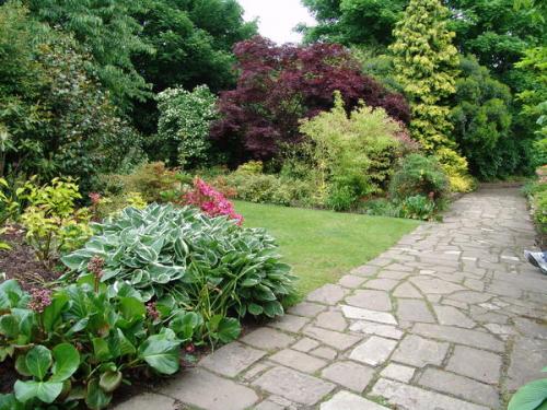 Декоративно-цветущие кустарники для сада. Сад цветущих кустарников: какие растения выбрать