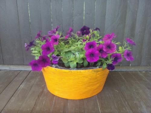 Кашпо для петуний своими руками. Как за 39 рублей делаю крепкие вазоны на 9 литров грунта для петуний. Подробный мастер-класс