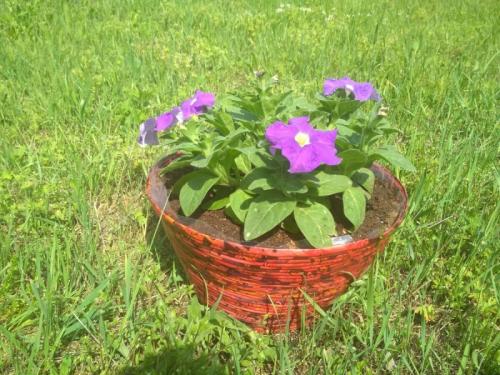 Кашпо для петуний своими руками. Как за 39 рублей делаю крепкие вазоны на 9 литров грунта для петуний. Подробный мастер-класс