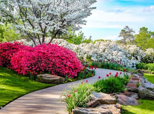 Декоративные цветущие кустарники каталог. Многолетние декоративные кустарники для дачи – названия и описания, фото