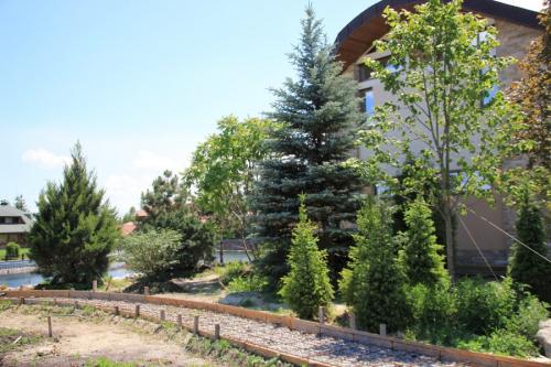 Декоративные деревья для двора. Деревья возле дома — виды которые можно и нельзя сажать. 100 фото лучших вариантов для посадки