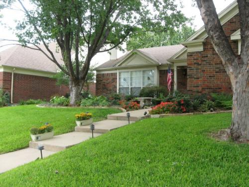 Декоративные деревья для двора. Деревья возле дома — виды которые можно и нельзя сажать. 100 фото лучших вариантов для посадки