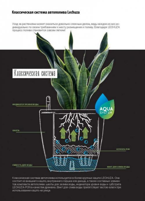 Как посадить растение в кашпо Lechuza. Кашпо с автополивом: как пользоваться по инструкции или эффективно? 04
