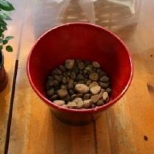 Можно ли сажать растения без дренажа. Другие элементы дренажной системы