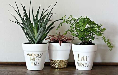 Как посадить растение в кашпо Lechuza. Кашпо с автополивом: как пользоваться по инструкции или эффективно? 14