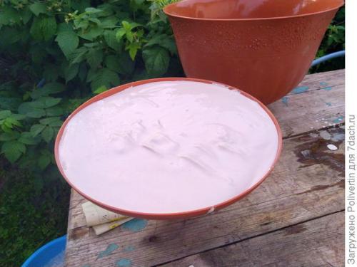 Можно ли в гипсовое кашпо сажать цветы. Вазон из гипса своими руками