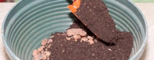 Как посадить растение в кашпо Lechuza. Кашпо с автополивом: как пользоваться по инструкции или эффективно? 12