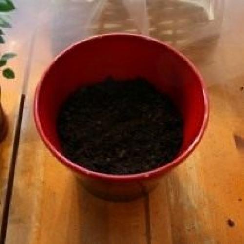 Можно ли сажать растения без дренажа. Другие элементы дренажной системы