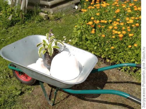 Можно ли в гипсовое кашпо сажать цветы. Вазон из гипса своими руками