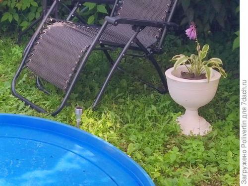 Можно ли в гипсовое кашпо сажать цветы. Вазон из гипса своими руками