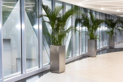 Можно ли сажать цветы в металлические горшки. Керамические горшки