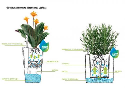 Как посадить растение в кашпо Lechuza. Кашпо с автополивом: как пользоваться по инструкции или эффективно? 05