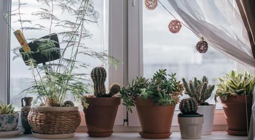 Можно ли сажать цветы в металлические горшки. Керамические горшки