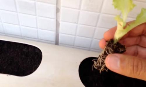 Вертикальная клумба из трубы своими руками. 5 простых идей изготовления клумбы из труб у себя на даче