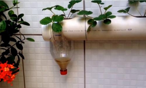 Вертикальная клумба из трубы своими руками. 5 простых идей изготовления клумбы из труб у себя на даче