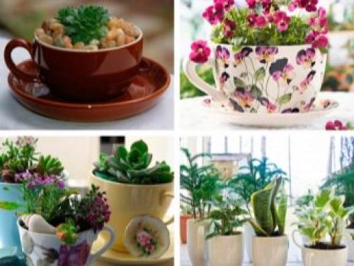 Кашпо, как продолжение интерьера. Преимущества использования кашпо для обновления интерьера 01 Кашпо, как продолжение интерьера. Преимущества использования кашпо для обновления интерьера 01