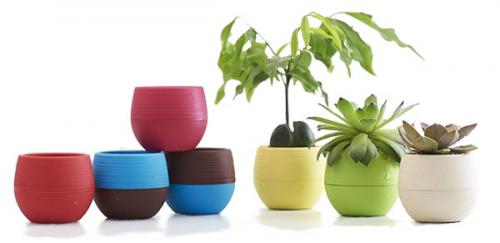 Как выбрать кашпо для цветов. Как выбрать горшок для растений