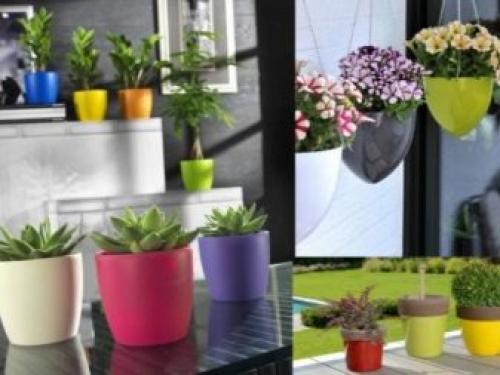 Кашпо, как продолжение интерьера. Преимущества использования кашпо для обновления интерьера Кашпо, как продолжение интерьера. Преимущества использования кашпо для обновления интерьера